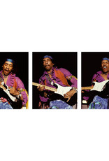 Knight Hendrix Triplet by Robert Knight