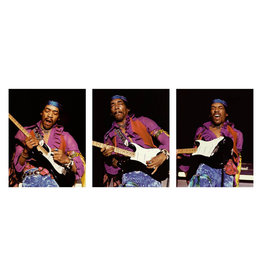 Knight Hendrix Triplet by Robert Knight