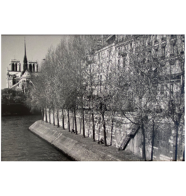 Kertesz Untitled (Paris), November 2, 1980 by Andre Kertesz