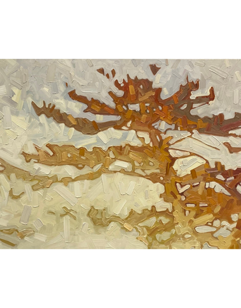 Grieve Resplendent 34 by David Grieve (Original)