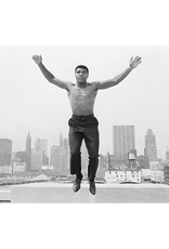 Magnum Muhammad Ali jumping from a bridge over the Chicago River, Chicago, USA 1966 (FRAMED) by Thomas Hoepker