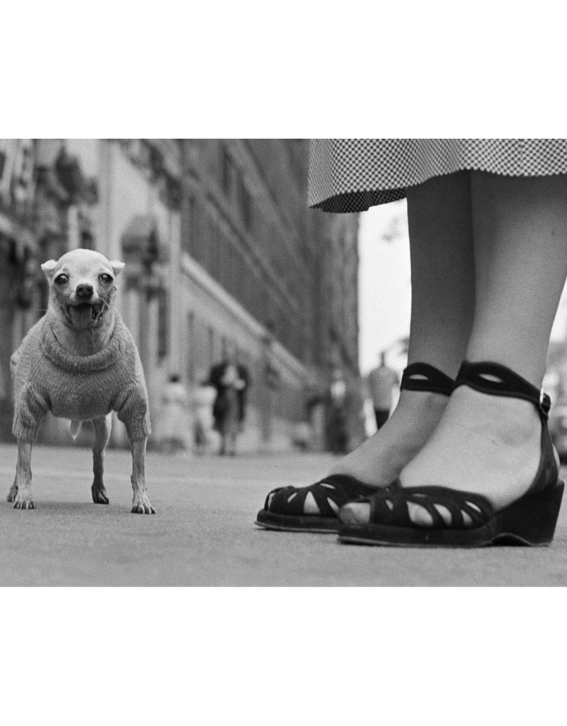 Magnum New York City, USA. Circa 1950 (FRAMED) by Elliot Erwitt
