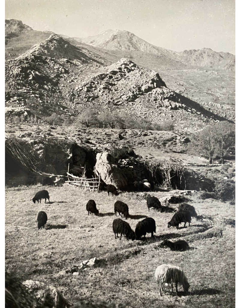 Kertesz Monte Cinto, Corsica, 1932  by Andre Kertesz