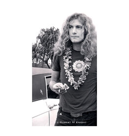Knight Robert Plant Hawaii by Robert Knight