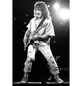 Knight Eddie Van Halen V, 1993 by Robert Knight