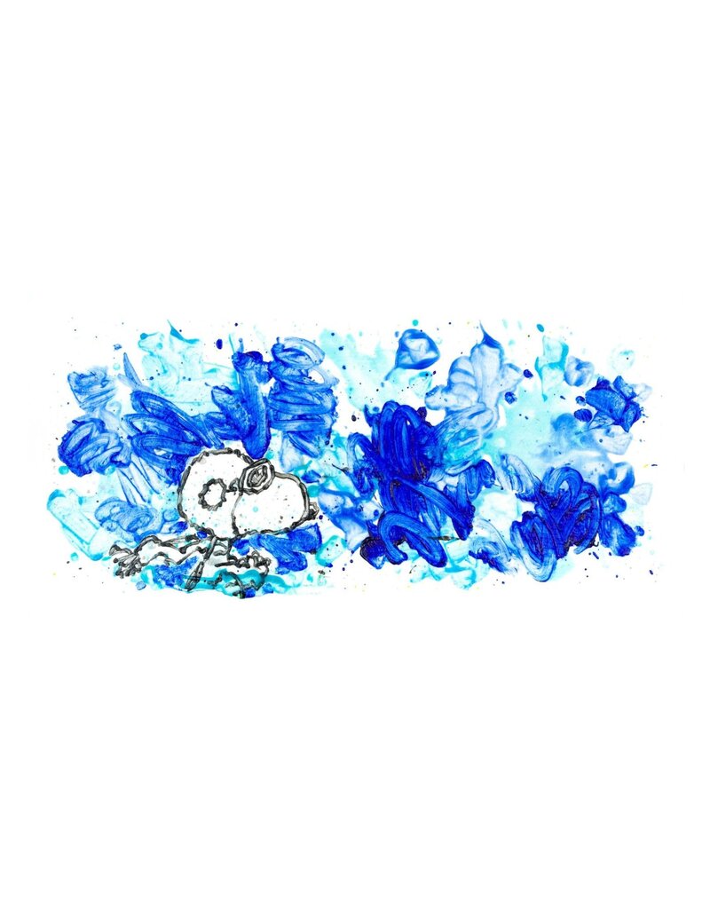 Everhart Partly Cloudy 7:15 Morning Fly by Tom Everhart