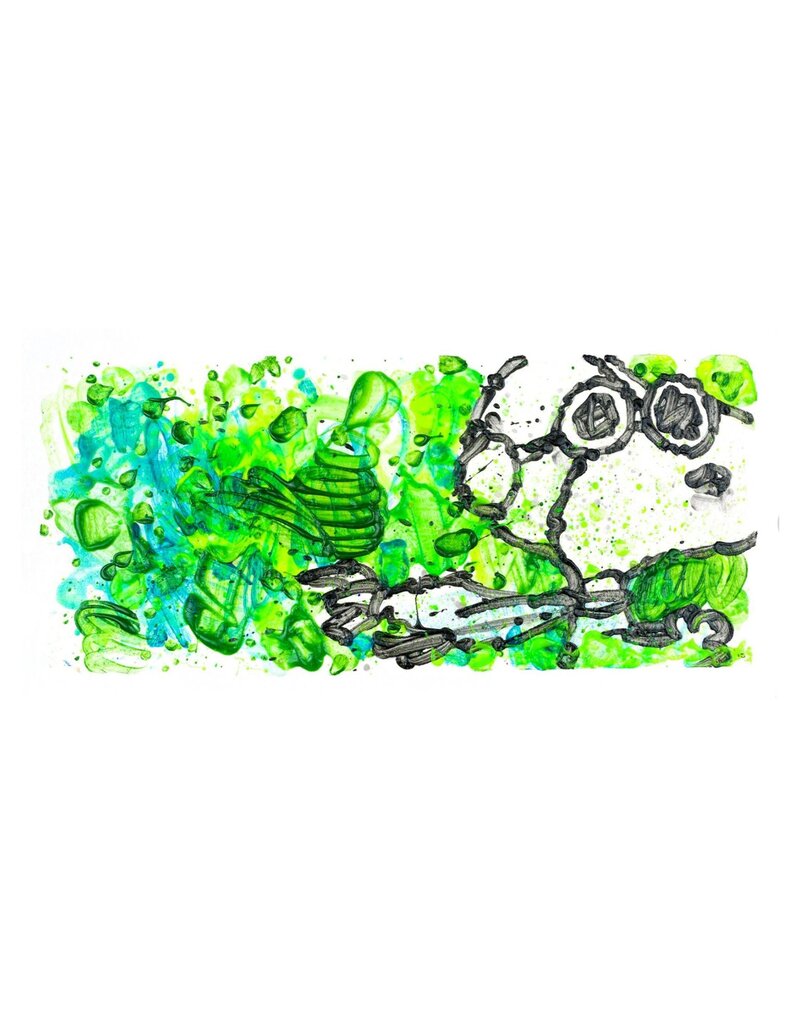 Everhart Partly Cloudy 7:45 Morning Fly by Tom Everhart