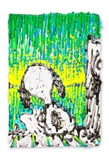 Everhart Coconut Couture - Starry Starry Light Suite by Tom Everhart