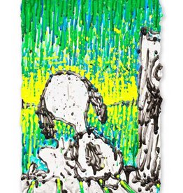 Everhart Coconut Couture - Starry Starry Light Suite by Tom Everhart