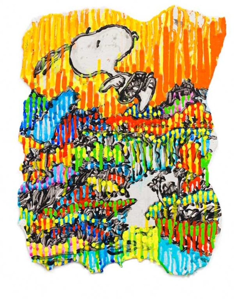 Everhart Super Fly - Fall by Tom Everhart