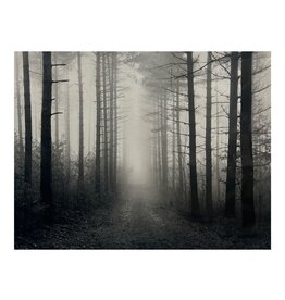 Lemke Path and Fog by William Lemke