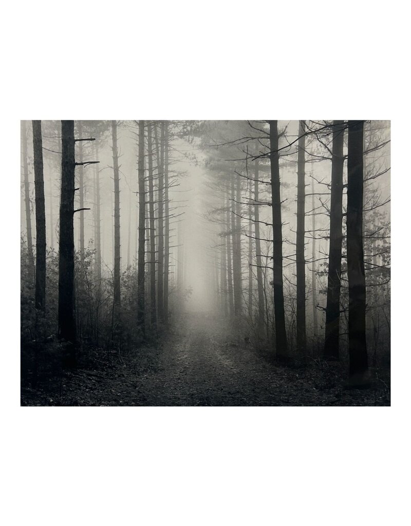 Lemke Path and Fog by William Lemke