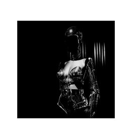 Rocco Mode Shape - Plate 30 by Alexander Rocco