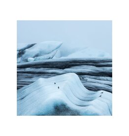 Rocco The Whale and Four Seagulls by Alexander Rocco