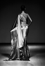 Rocco Mode Shape - Plate 1 by Alexander Rocco