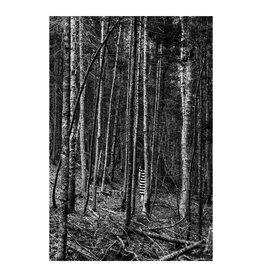 Rocco The Forest by Alexander Rocco