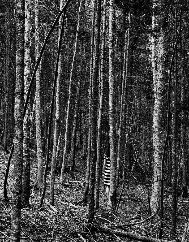 Rocco The Forest by Alexander Rocco