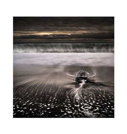 Rocco Jokulsarlon  - Plate 6 by Alexander Rocco