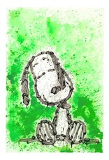 Everhart Gang Star Dreams by Tom Everhart