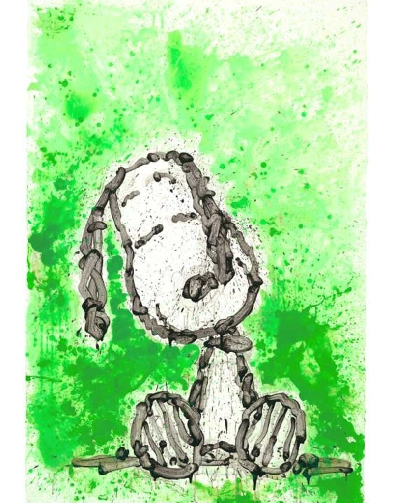 Everhart Gang Star Dreams by Tom Everhart