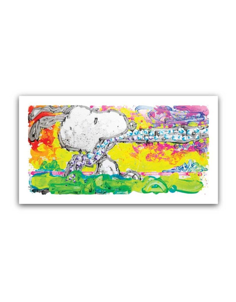 Everhart Coup De Etat by Tom Everhart