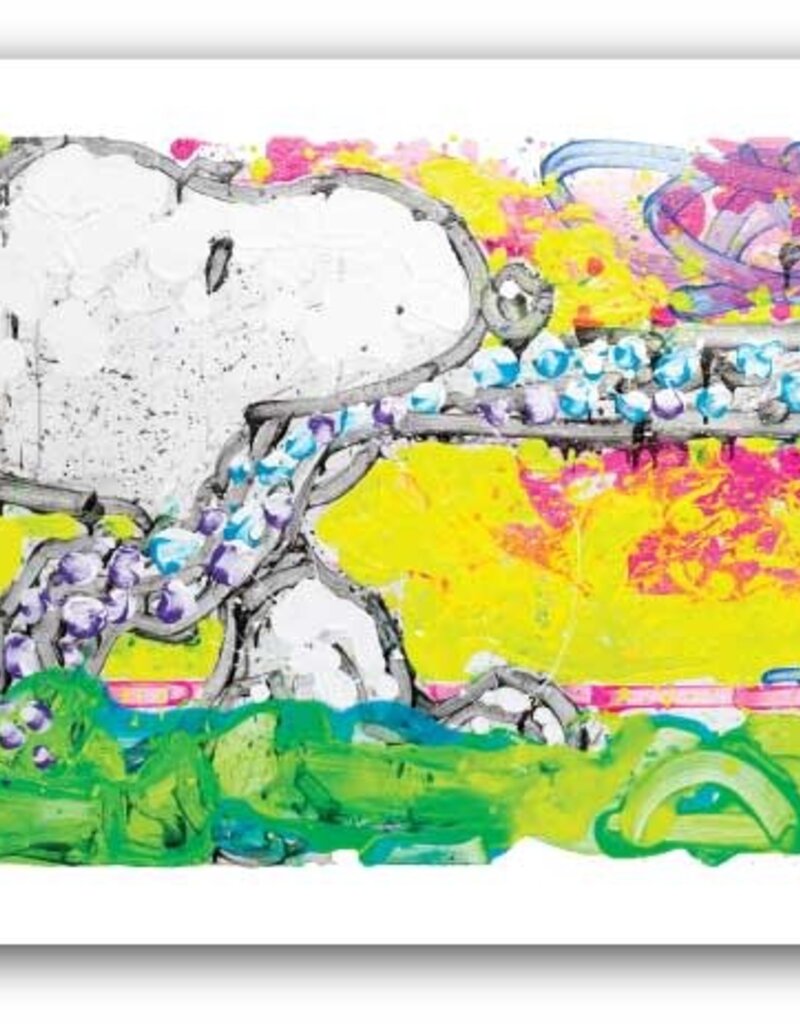 Everhart Coup De Etat by Tom Everhart