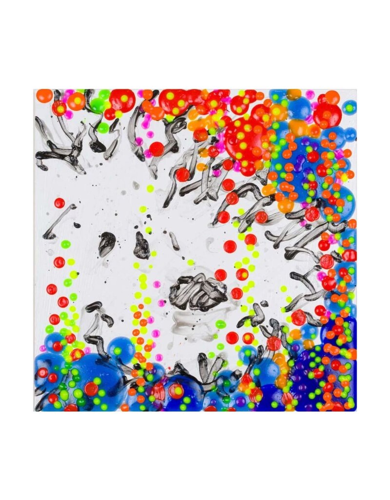 Everhart The Real McCoy Year 15 by Tom Everhart
