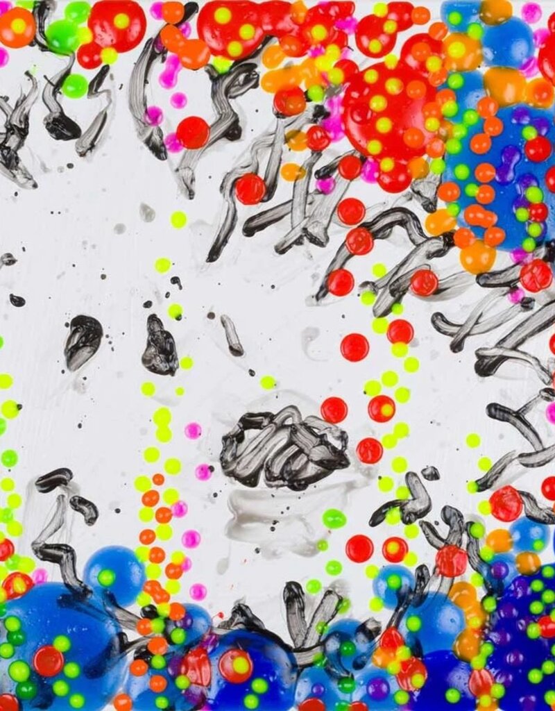 Everhart The Real McCoy Year 15 by Tom Everhart
