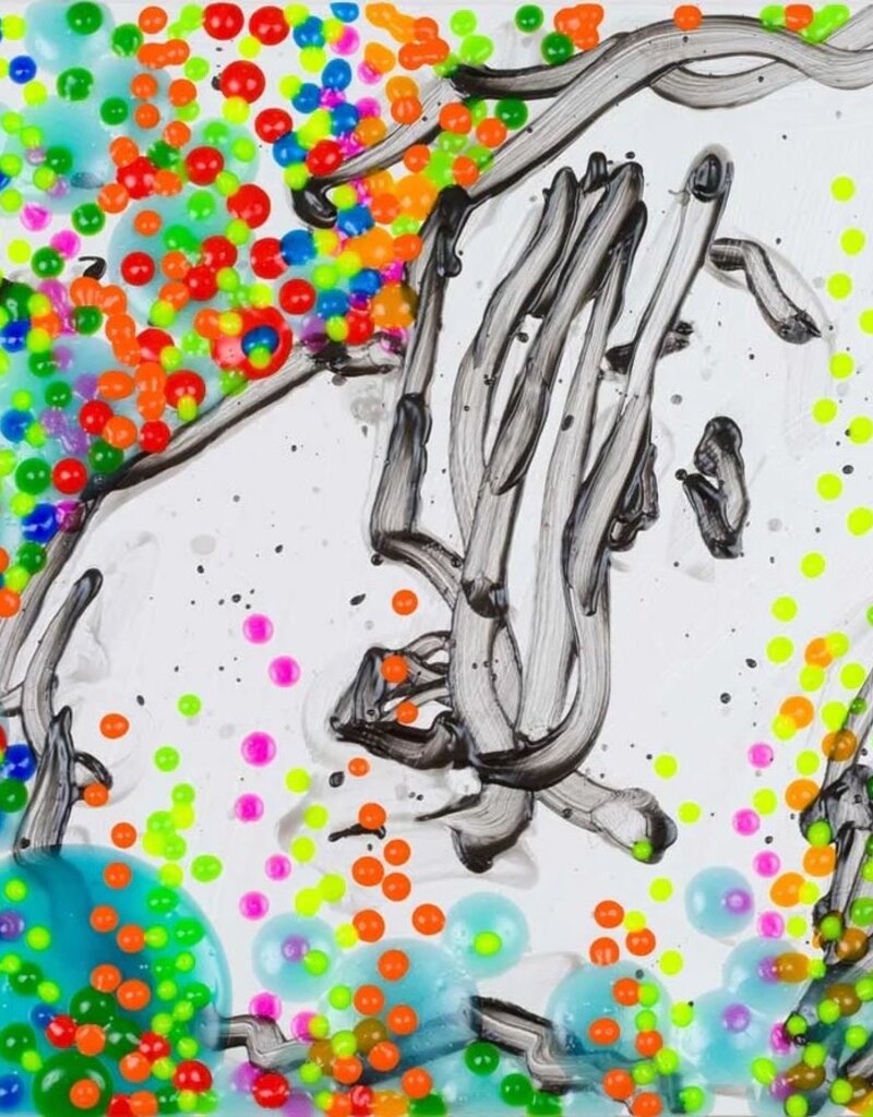 Everhart The Real McCoy Year 17 by Tom Everhart