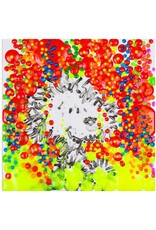 Everhart The Real McCoy Year 13 by Tom Everhart