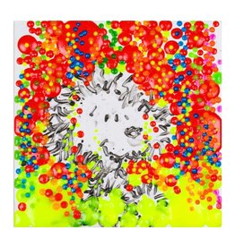 Everhart The Real McCoy Year 13 by Tom Everhart