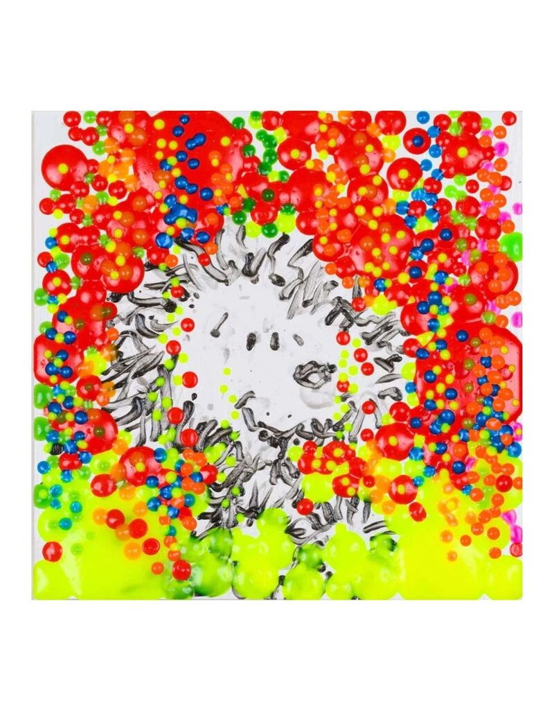 Everhart The Real McCoy Year 13 by Tom Everhart
