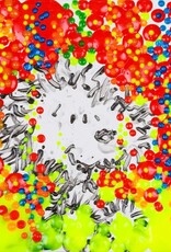 Everhart The Real McCoy Year 13 by Tom Everhart