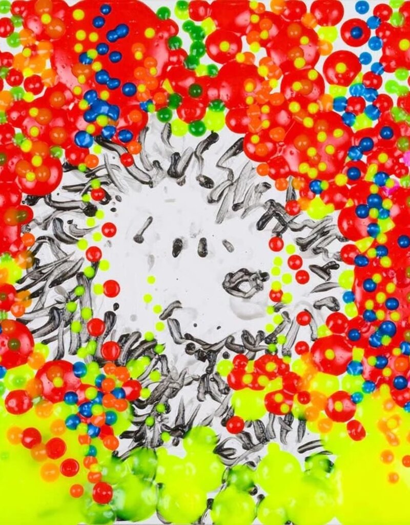 Everhart The Real McCoy Year 13 by Tom Everhart