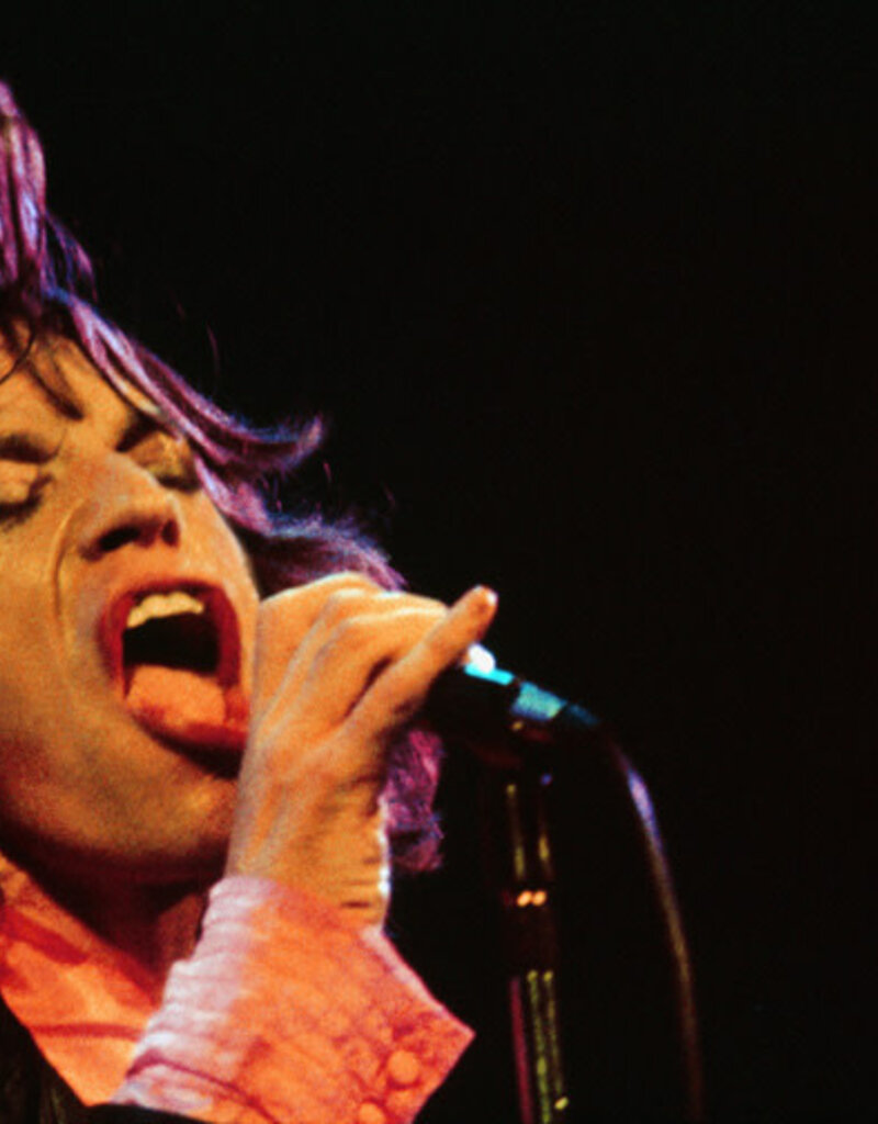 Rock Mick Jagger 1975 by Mick Rock