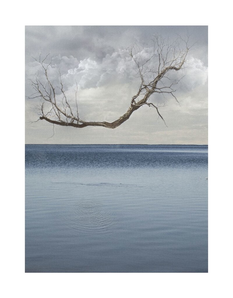 Dream Lake by Alice Zilberberg