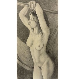 Schafley Untitled I by Greg Schafley