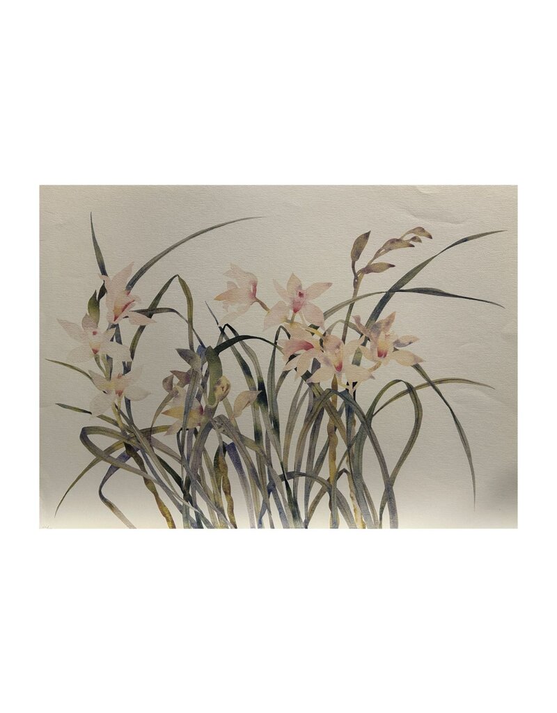 campen Pink Lillies by Susan Headley Van Campen