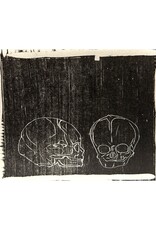 Baylis Skulls by Tyler Baylis