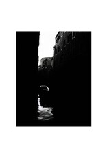 wiley Venice by James Wiley