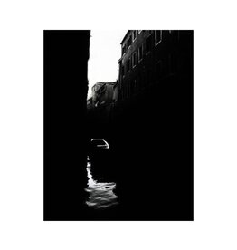 wiley Venice by James Wiley