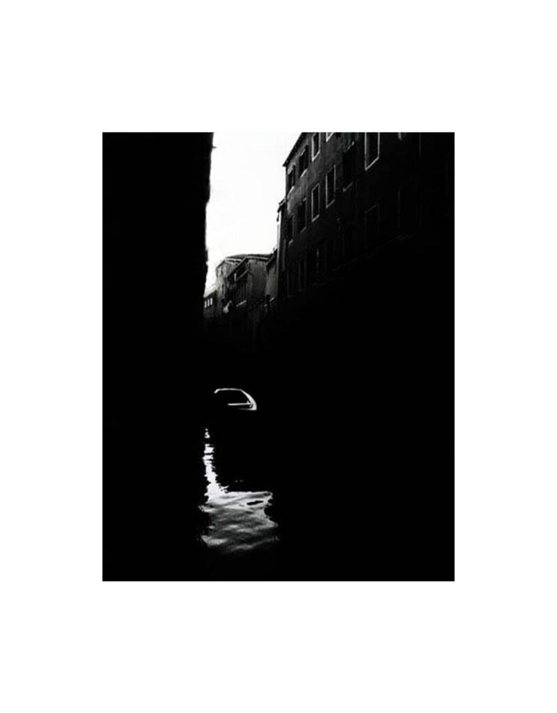wiley Venice by James Wiley