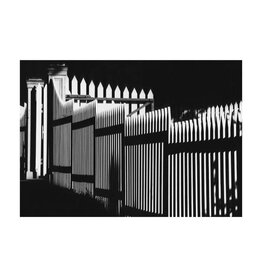 wiley Fence by James Wiley