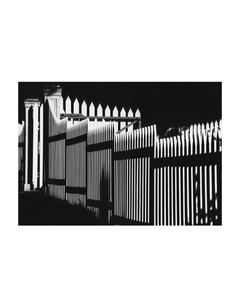 wiley Fence by James Wiley