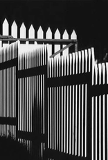 wiley Fence by James Wiley