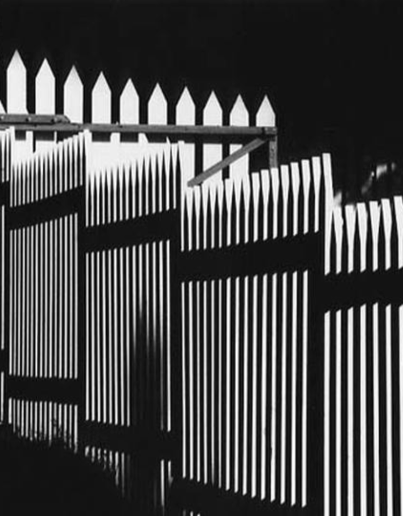 wiley Fence by James Wiley