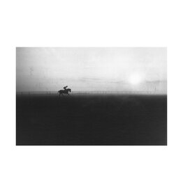 stoltman Morning workout, Belmont by Adam Stoltman
