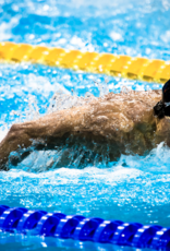 stoltman Michael Phelps, Competing in the 200 meter Butterfly at the London Olympics by Adam Stoltman