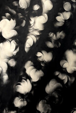 Ball Forest View by Johnathan Ball