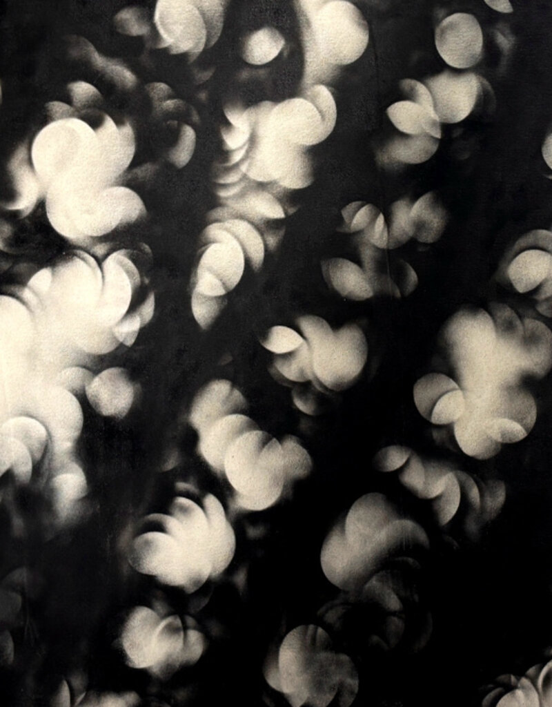 Ball Forest View by Johnathan Ball